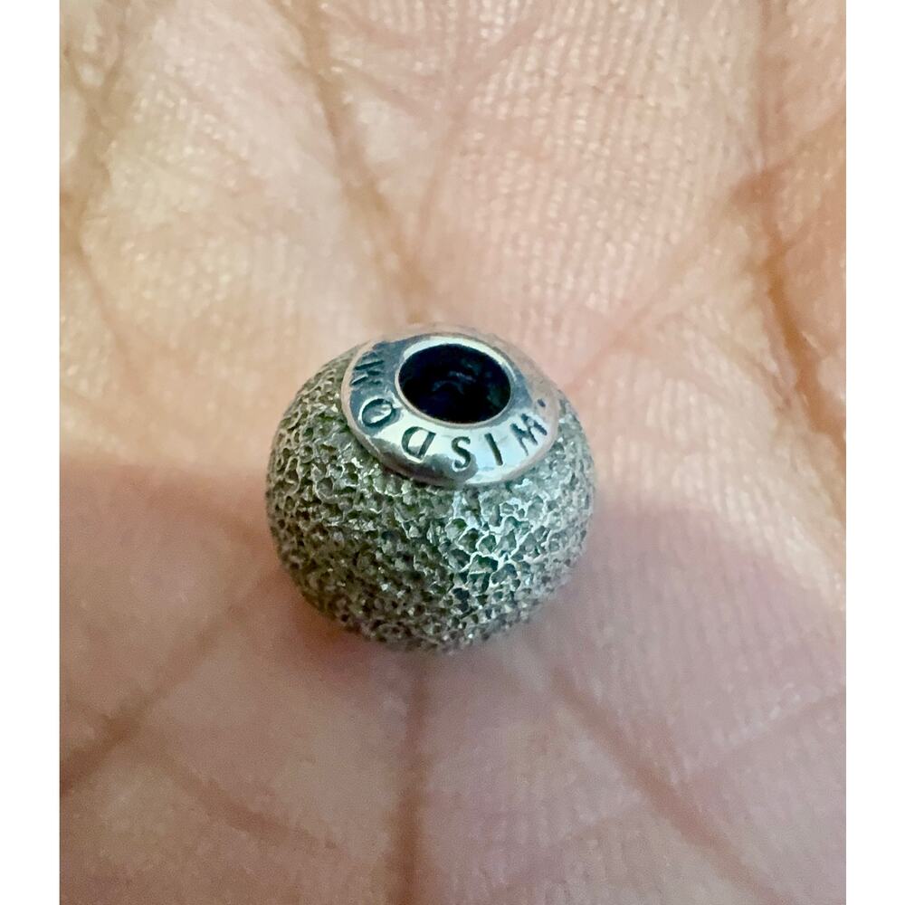Authentic Pandora ESSENCE Wisdom ALE 925 Sterling Silver Charm
